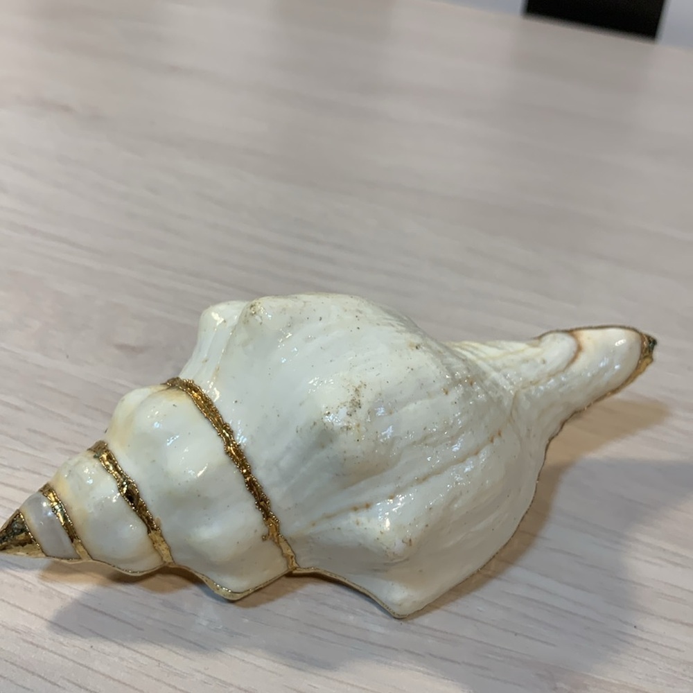Vintage 1970s Real Shell Belt Buckle Ivory & Gold Nautical Coastal Beach Vibe - Picture 16 of 17